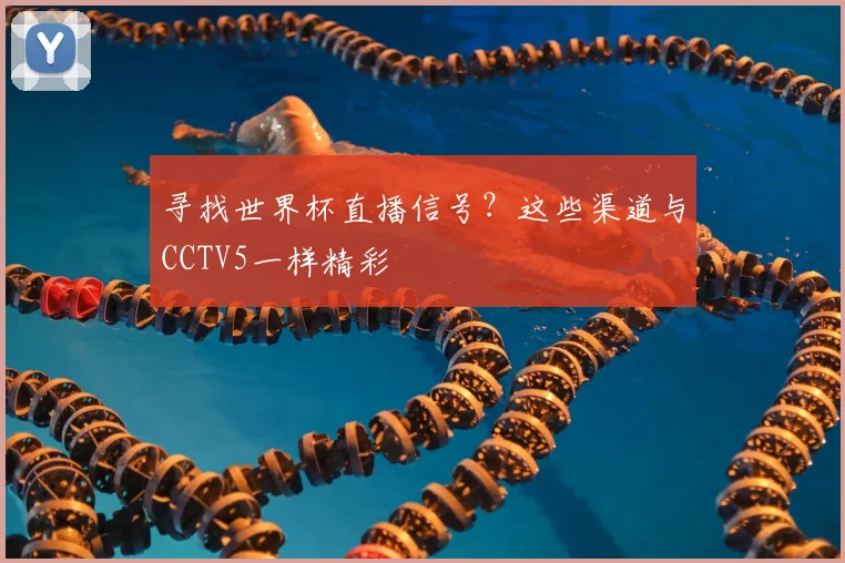 寻找世界杯直播信号？这些渠道与CCTV5一样精彩