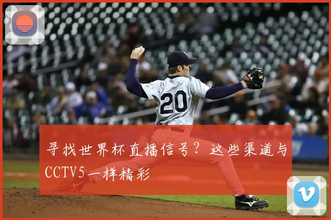 寻找世界杯直播信号?这些渠道与CCTV5一样精彩