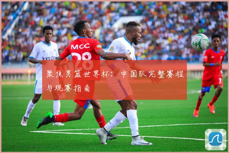 聚焦男篮世界杯：中国队完整赛程与观赛指南